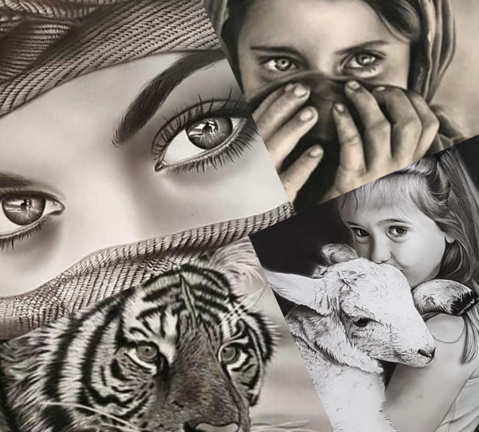 Hyper-real pencil drawings of faces and a tiger